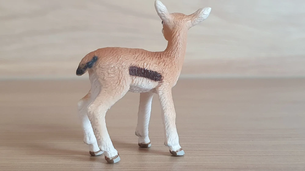 gazela mládě 14397, model 2008