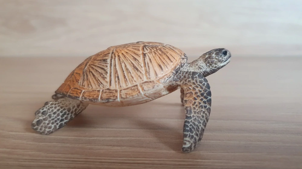 želva mořská 14695, model 2012