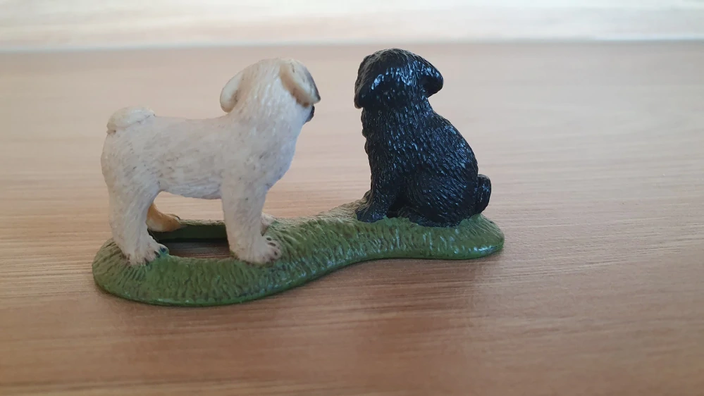 mops štěňata 16383, model 2009