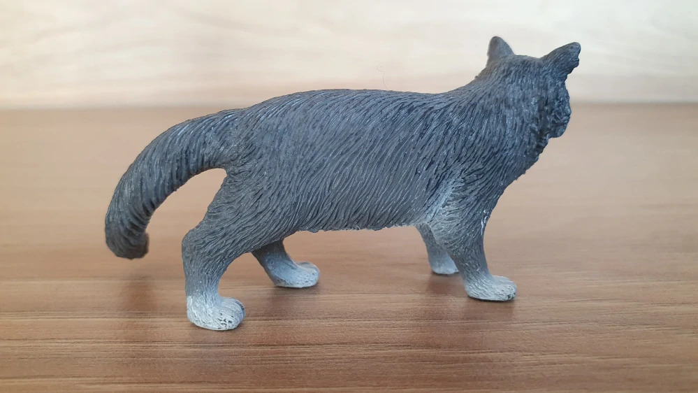 kočka  13893, model 2018