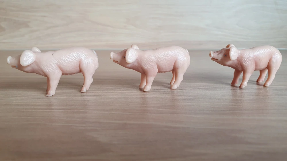 sele  13118, model 1995