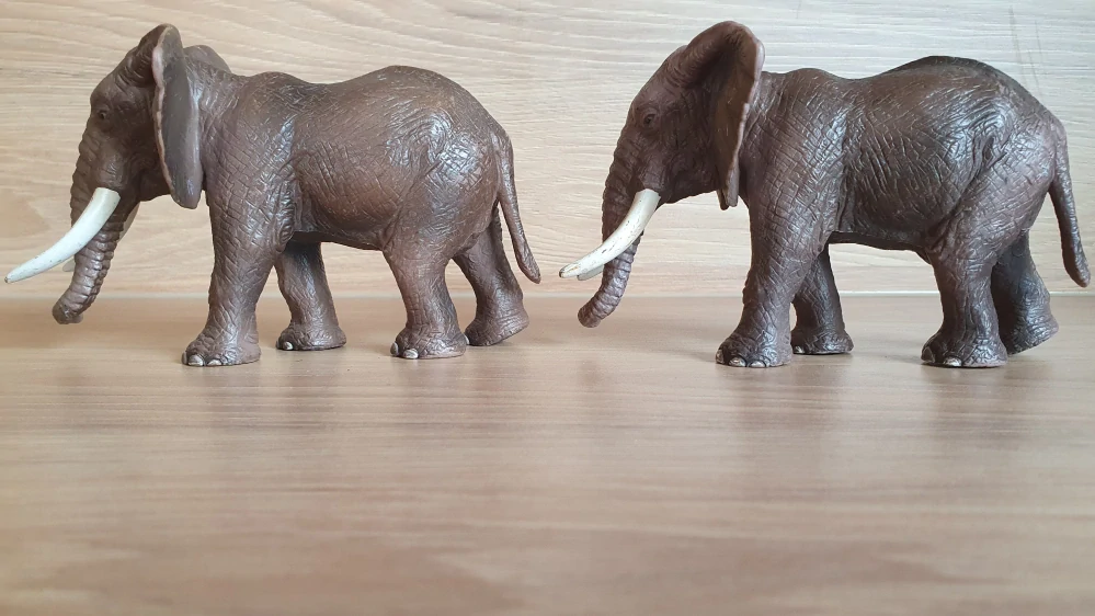 slon  14341, model 2004