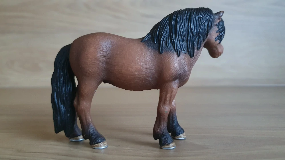 Dartmoorský poník 13651, model 2008