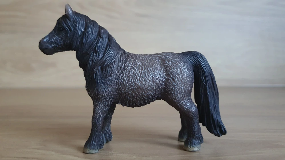 Shetlandský valach 13662, model 2009