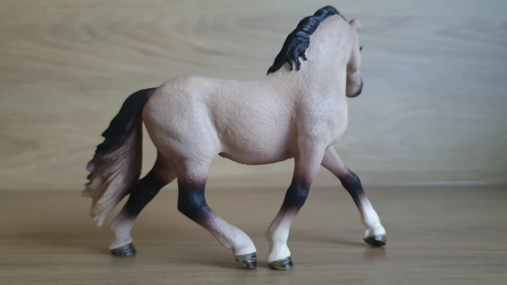 Andaluská klisna 13793, model 2014