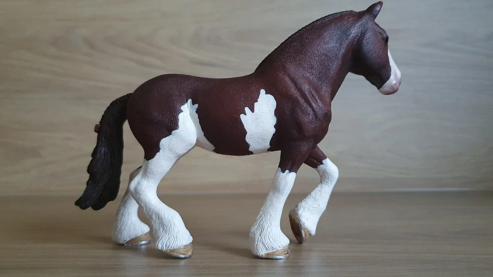 Clydesdale klisna 13809, model 2015