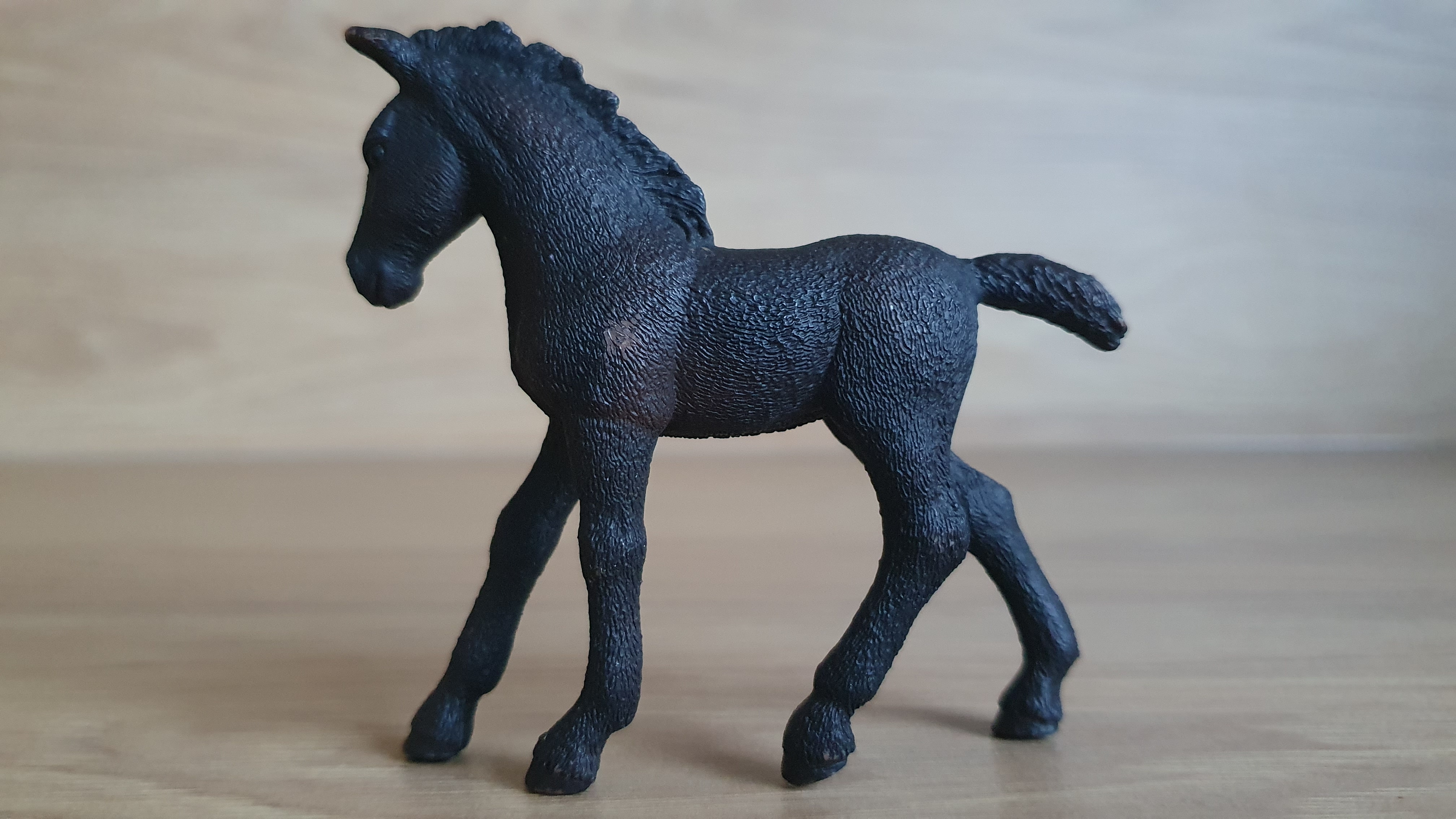 Lipicánské hříbě 13820, model 2016