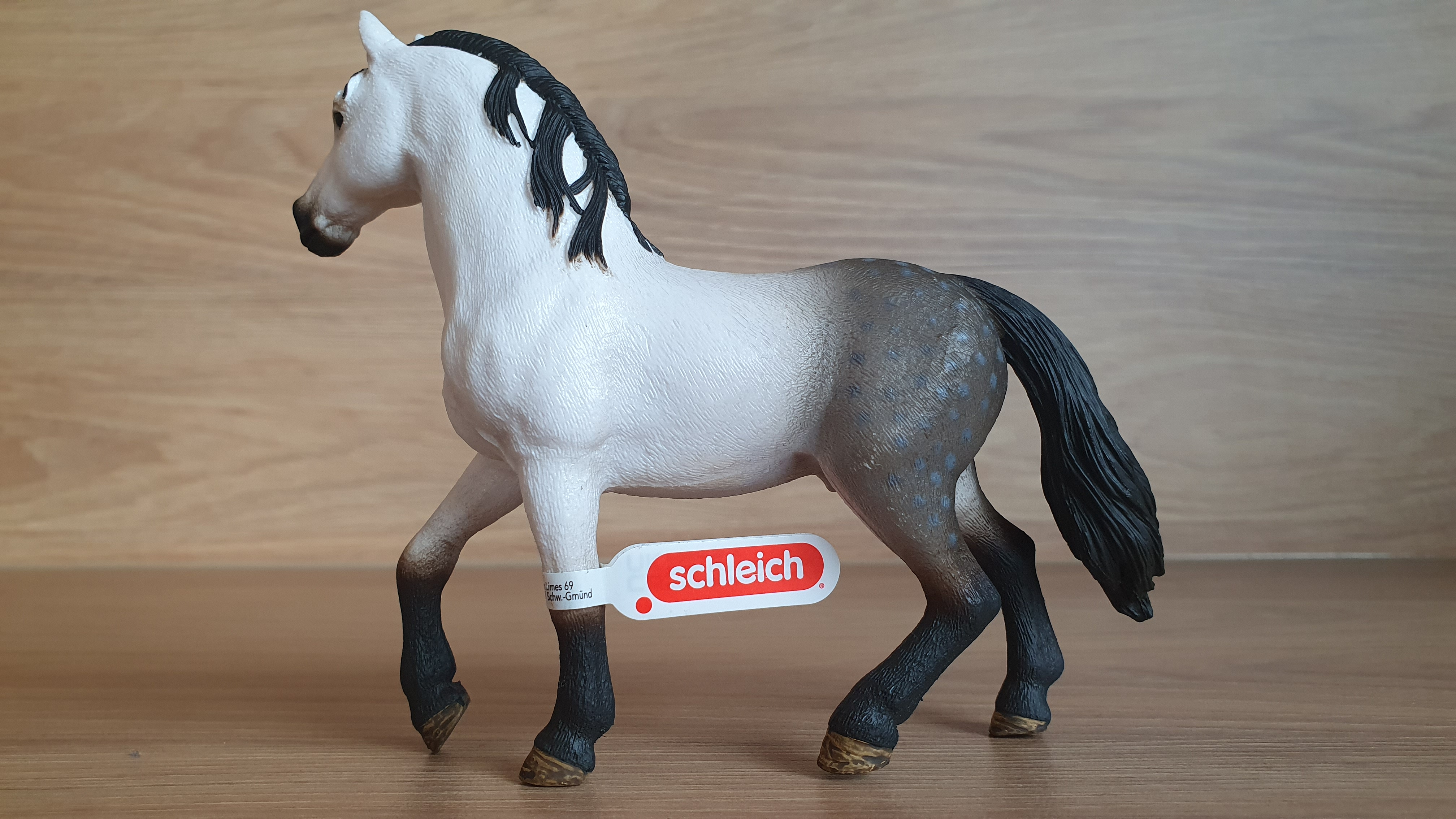 Andaluský hřebec 13821, model 2016