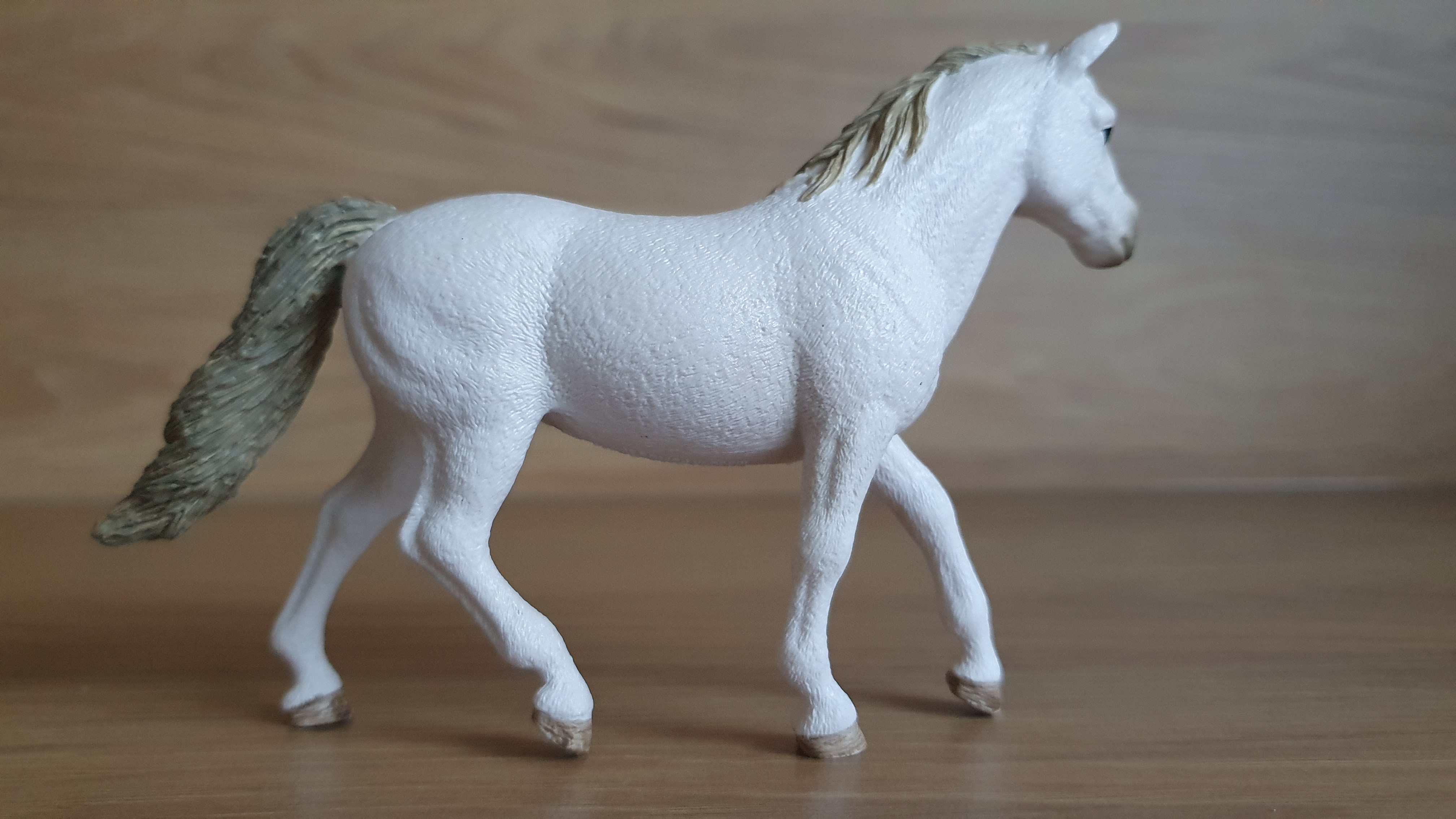 Connemarská pony klisna 42467, model 2017