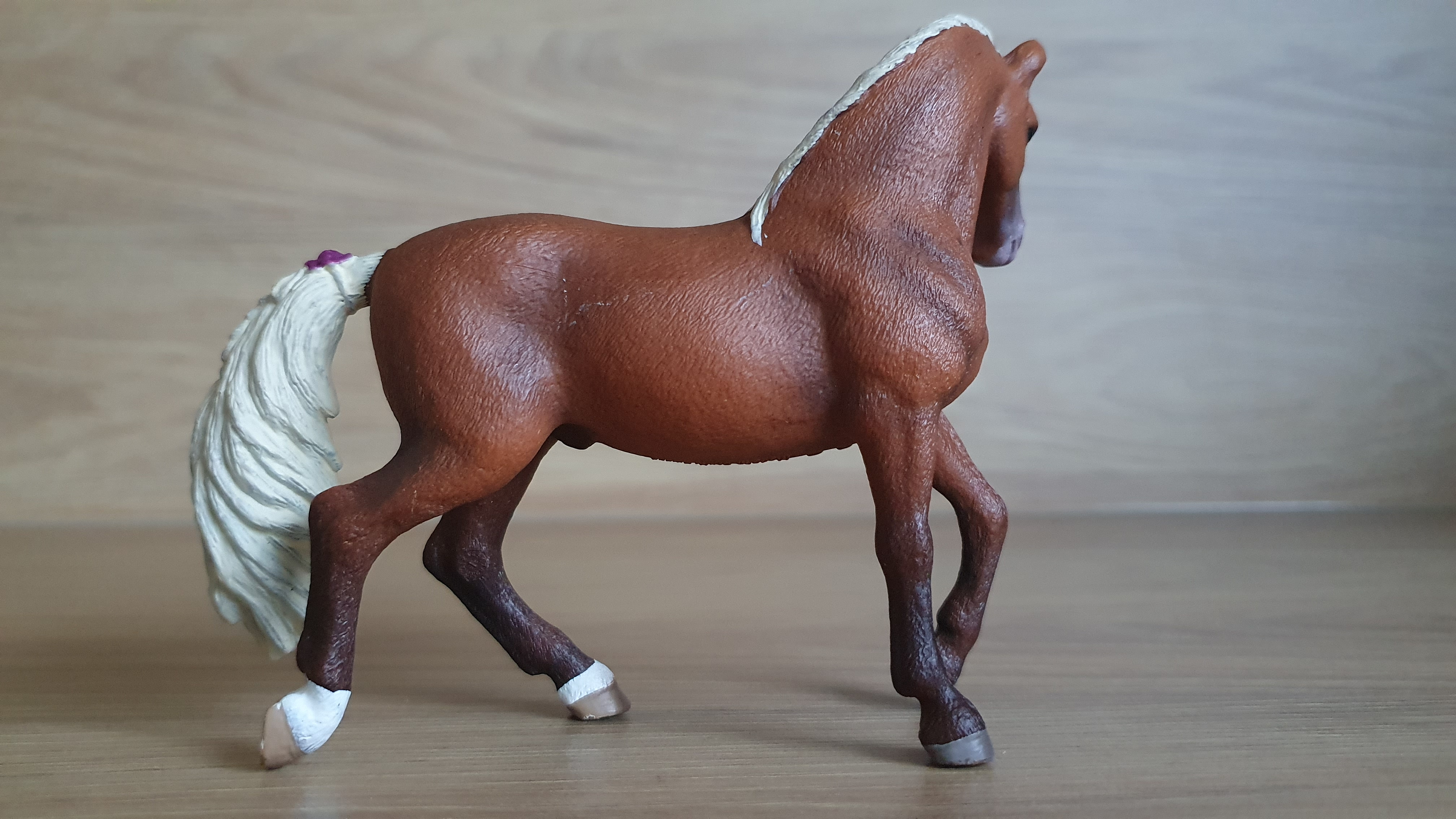 Hřebec Paso Fino 42468, model 2018
