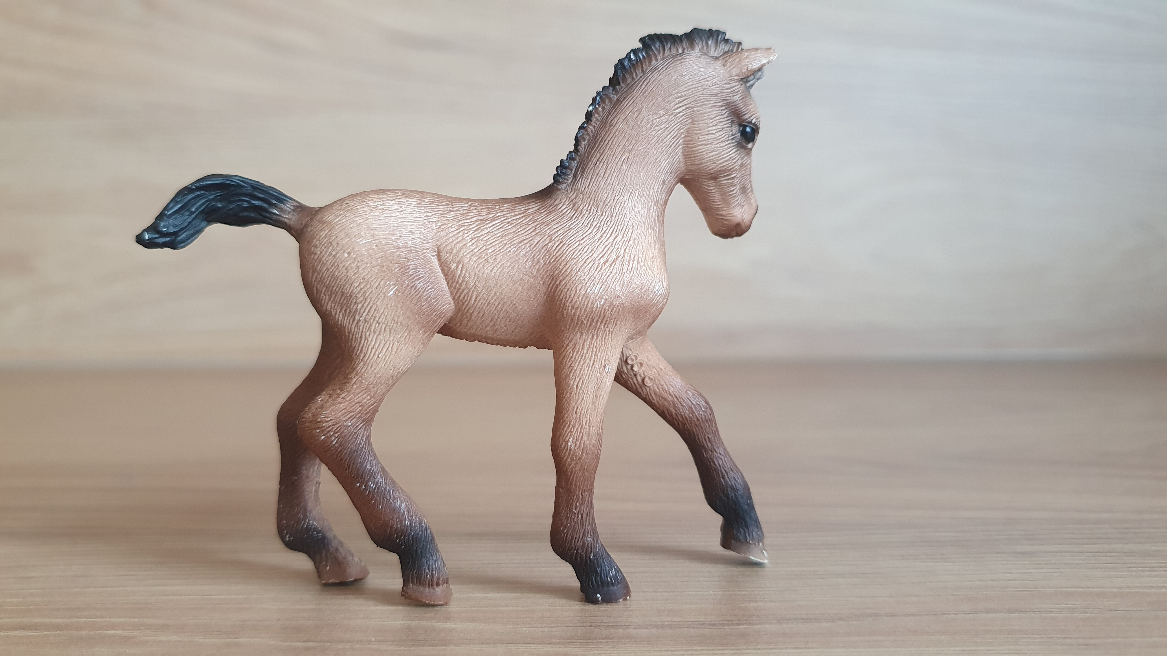 Andaluské hříbě 13669, model 2006