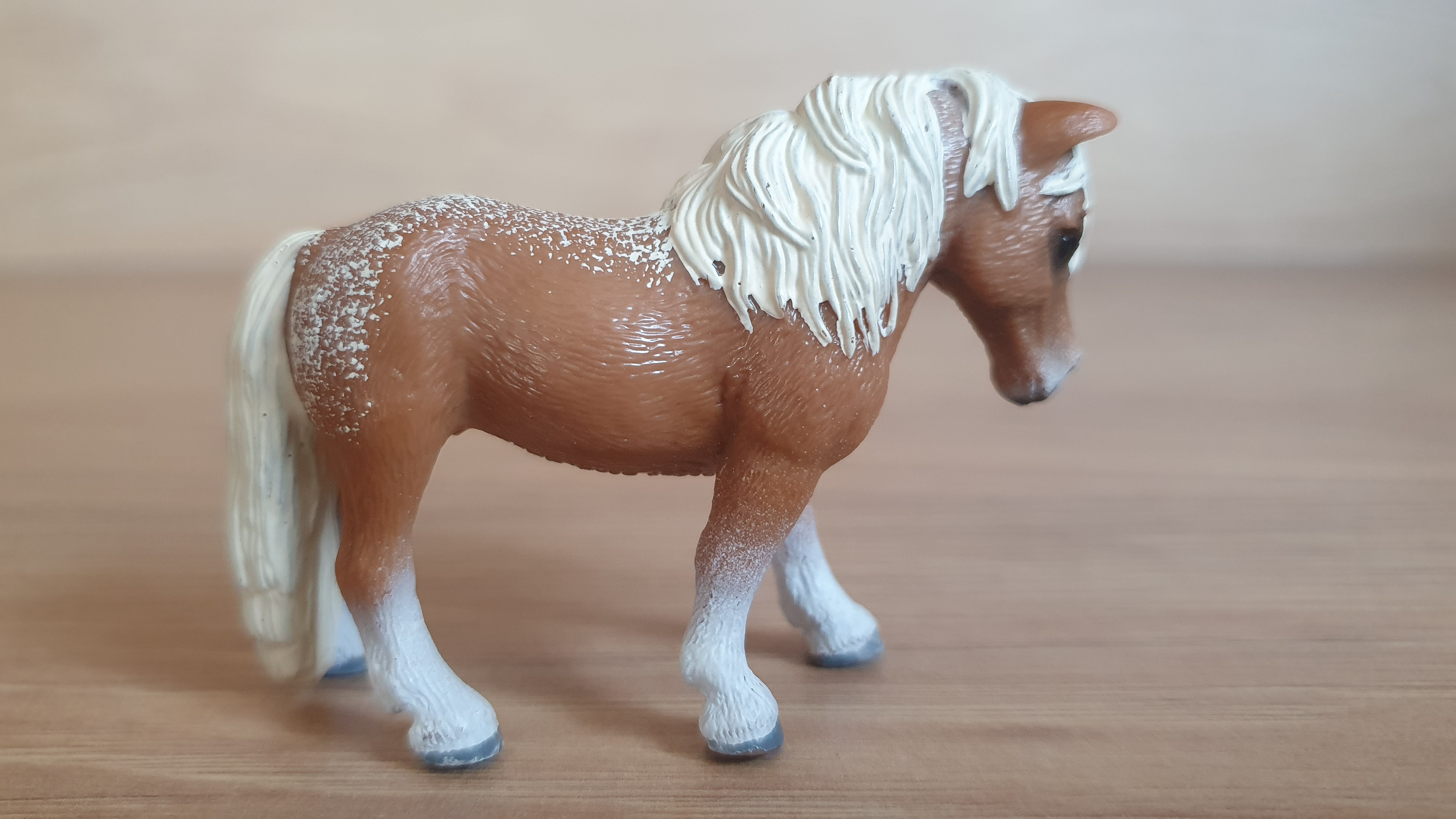 Falabella 13688, model 2010