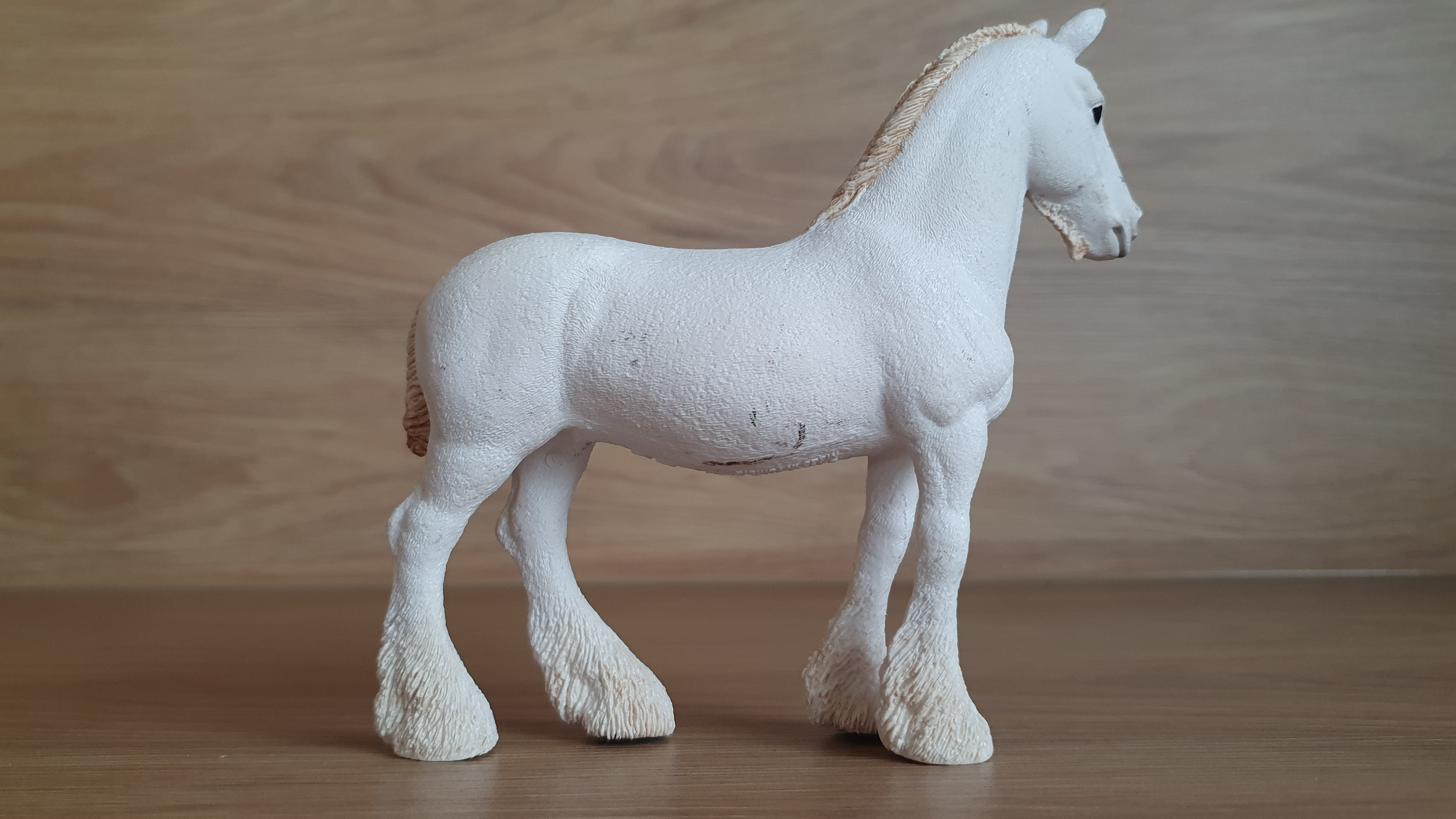 Klisna shirská 13735, model 2012