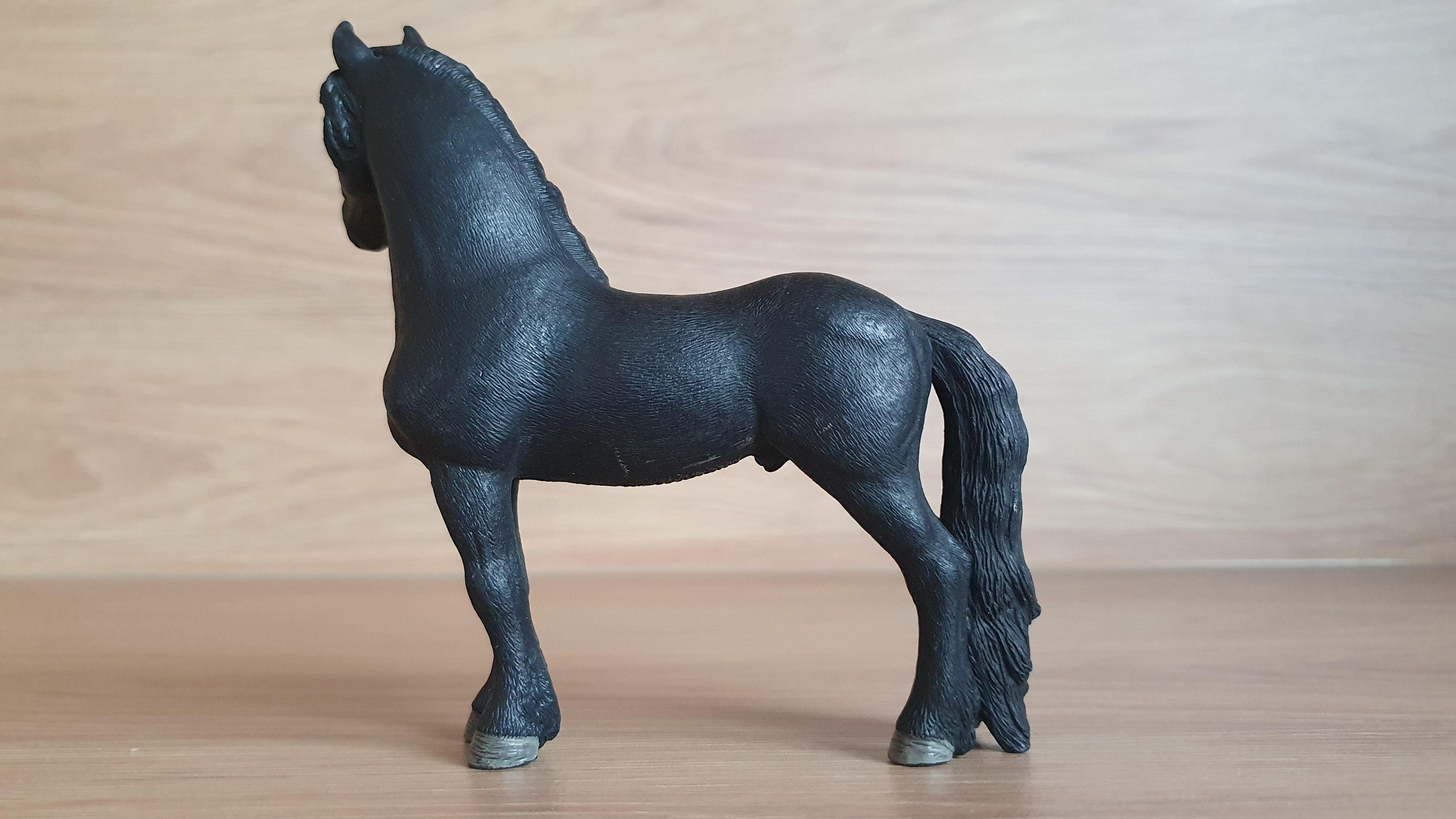 Fríský hřebec 13792, model 2014