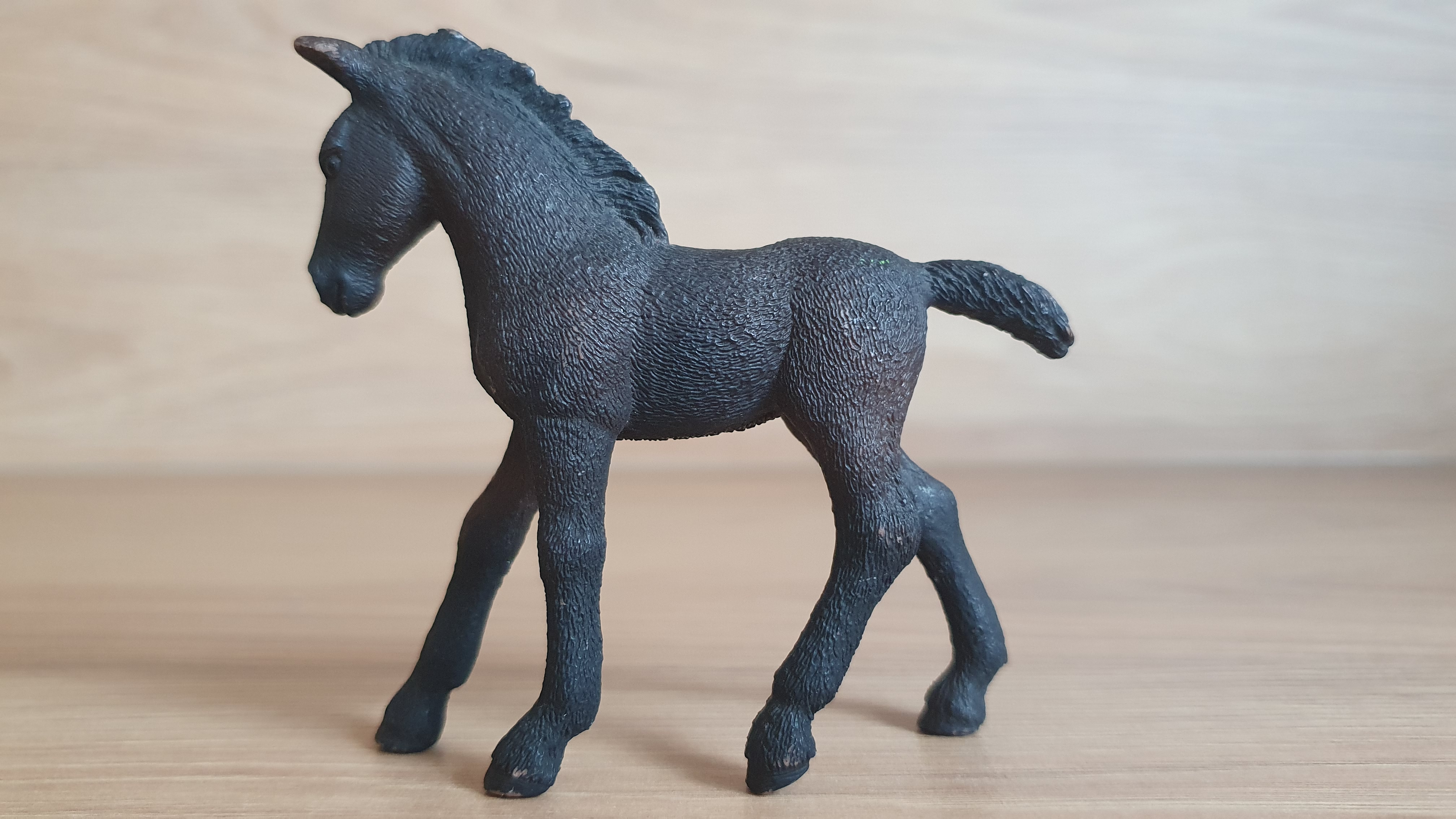 Lipicánské hříbě 13820, model 2016