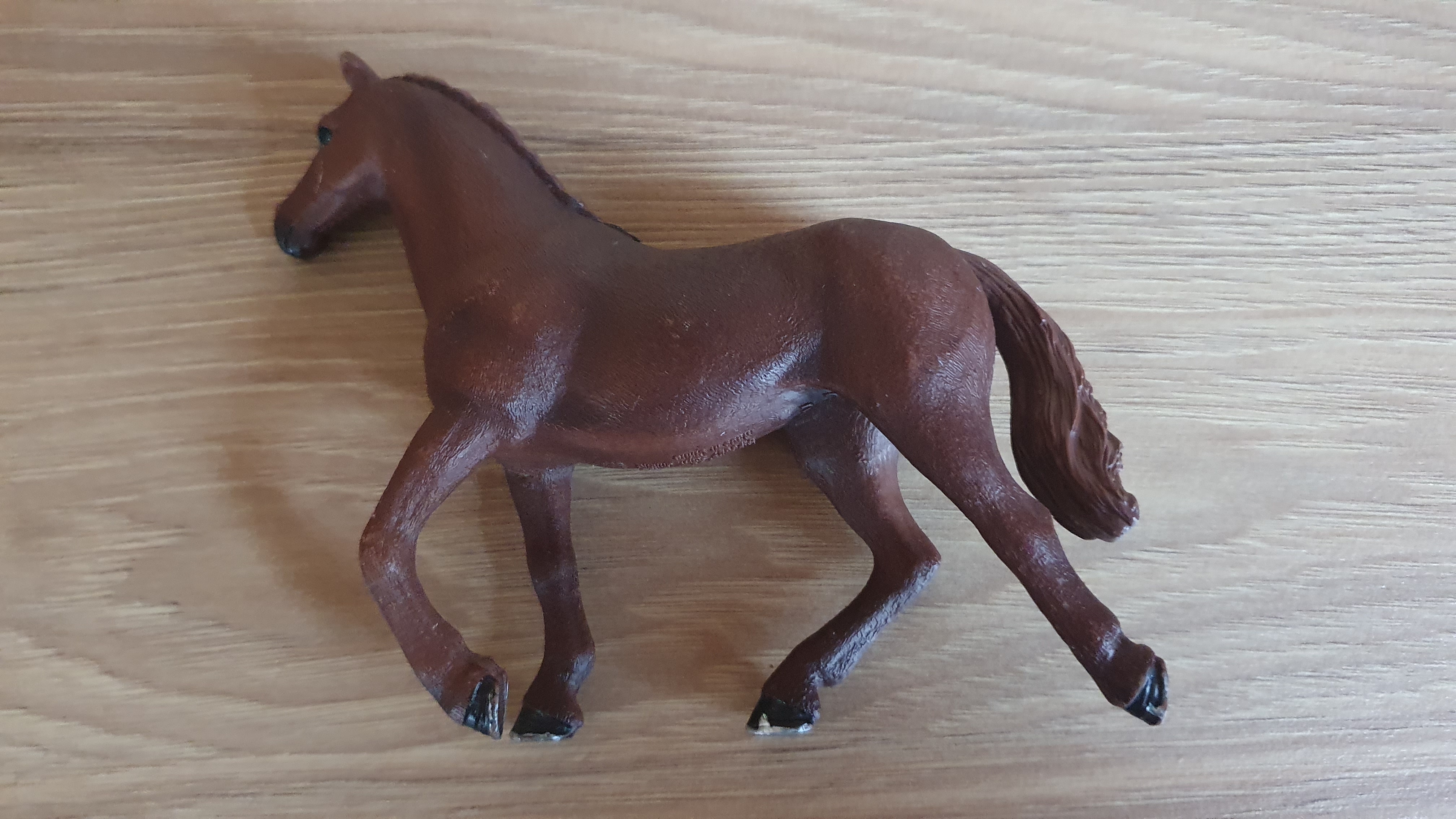 Anglický plnokrevník klisna  13855, model 2016