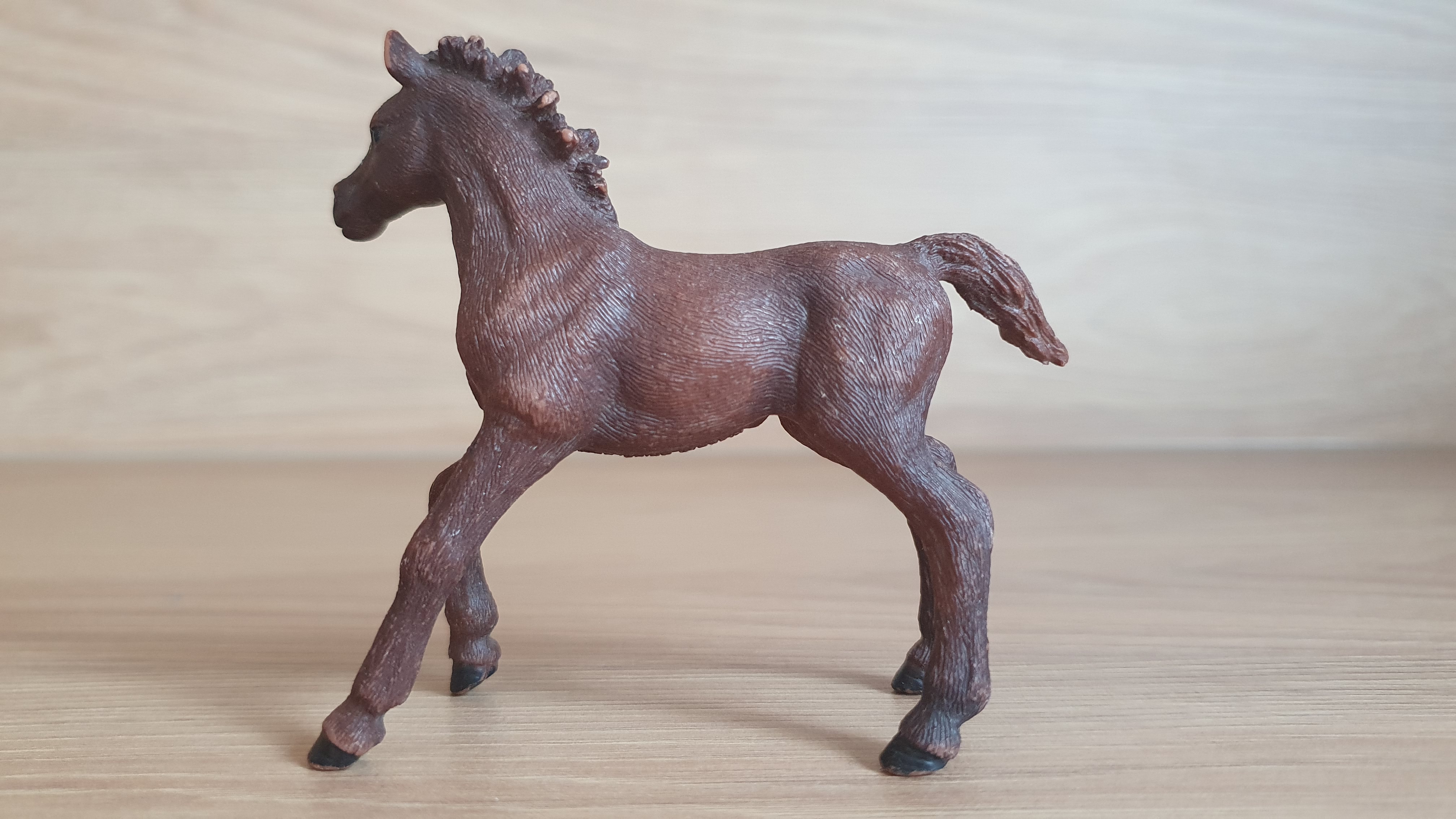 Anglický plnokrevník hříbě 13857, model 2016