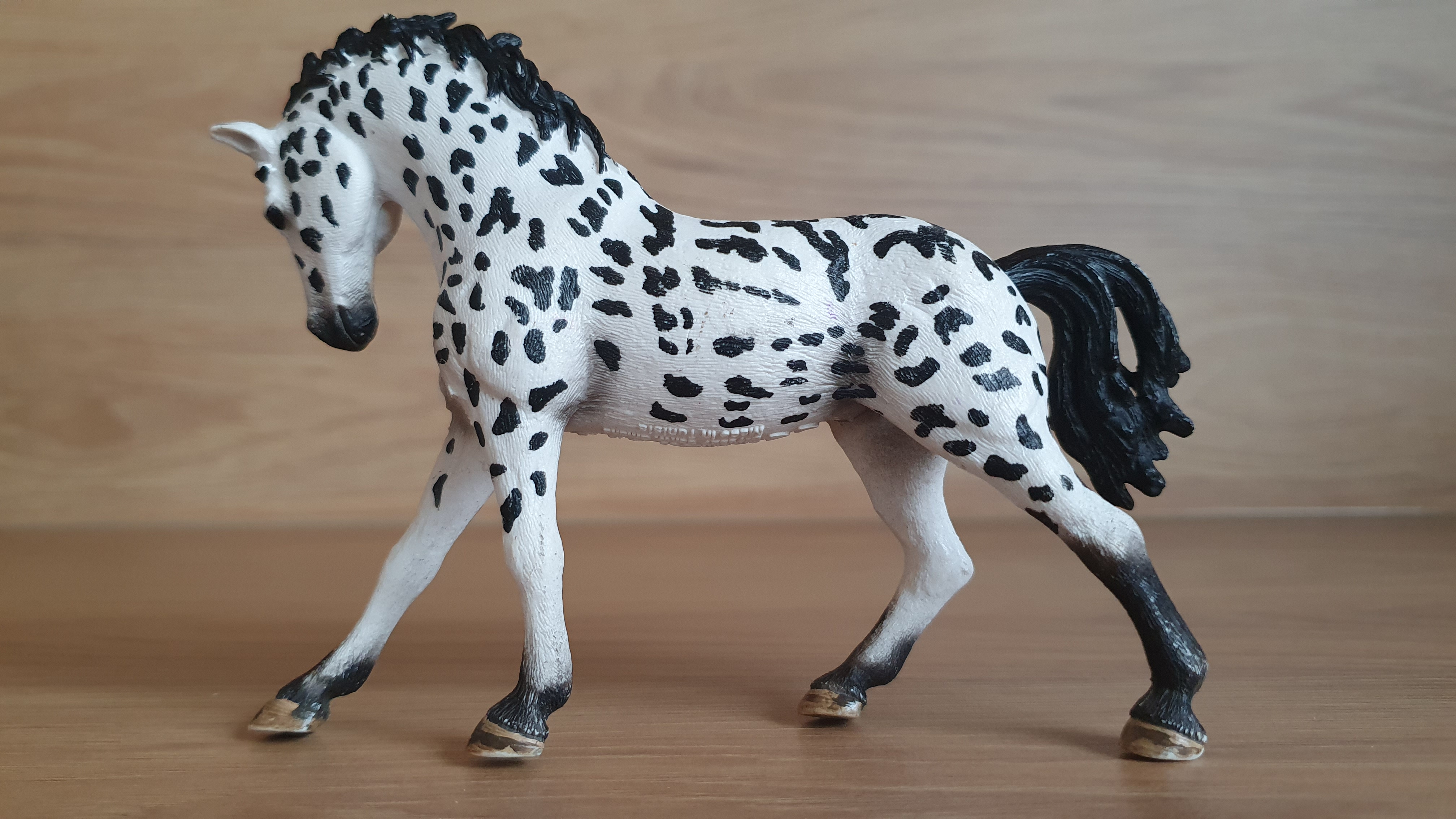 Knabstrupperská klisna 13769, model 2014