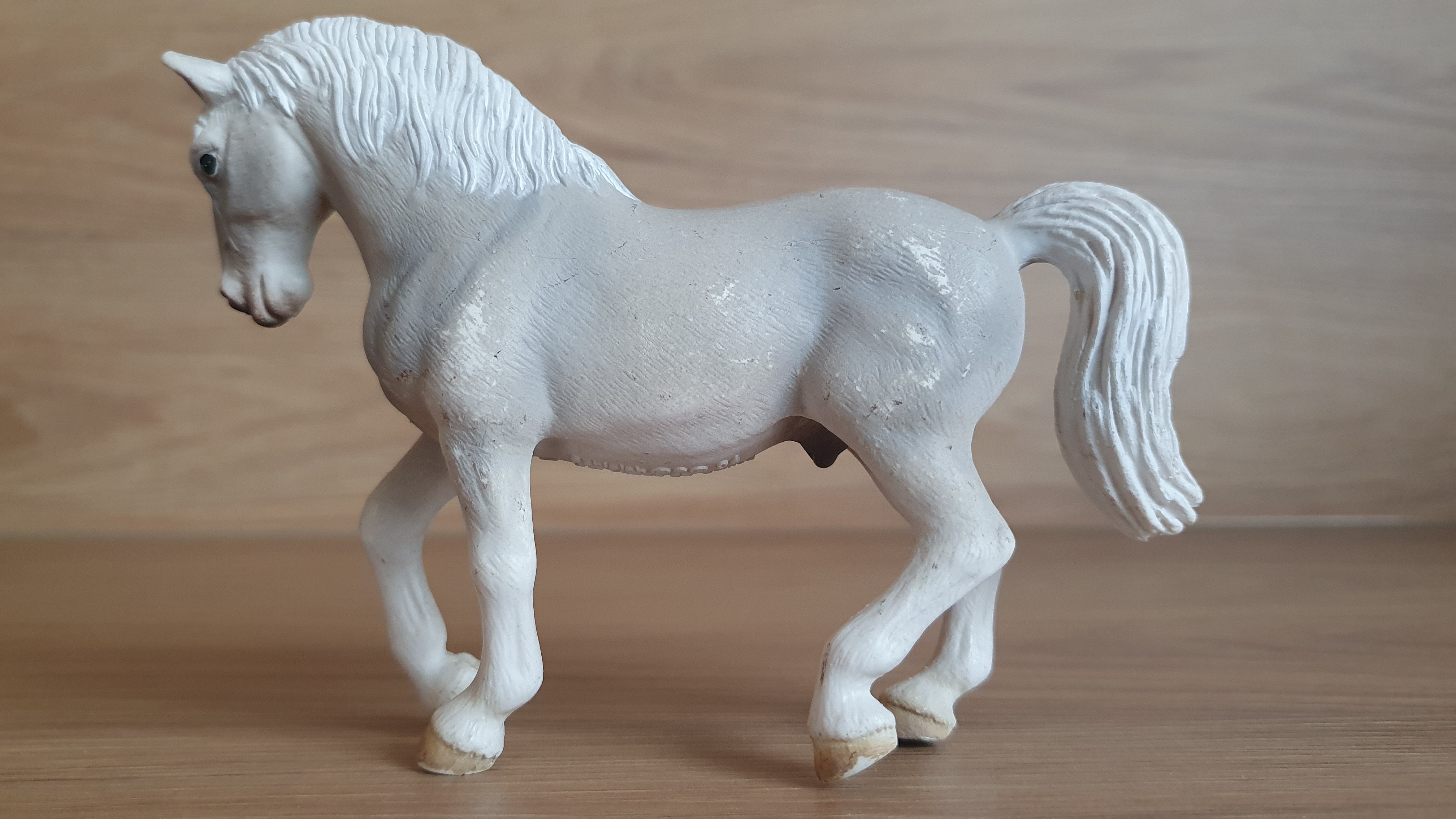 Lipizan hřebec 13293, model 2004