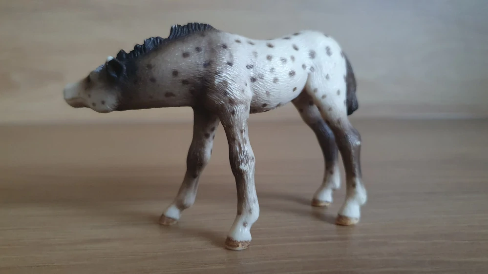 Knabstrupperské hříbě 13619, model 2006