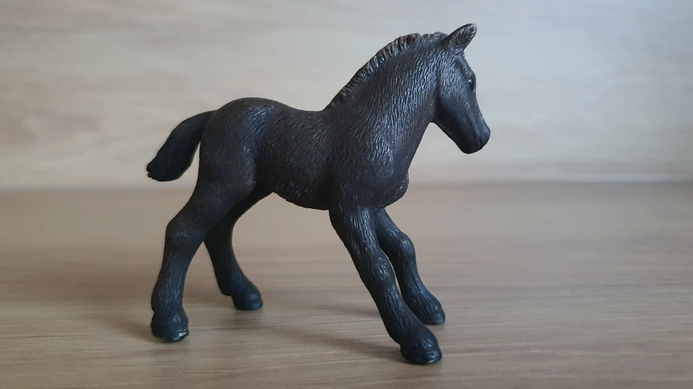 Camargské hříbě  13628, model 2007