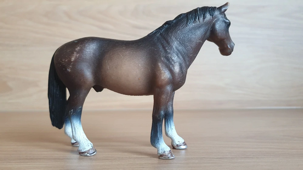 Hanoverskáý hřebec 13649, model 2008