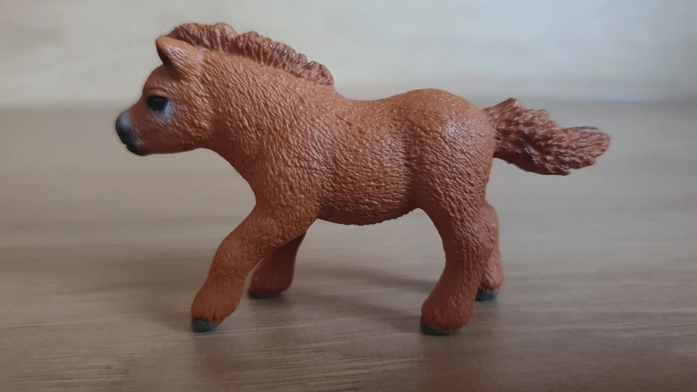 Shetlandský poník 13777, model 2014