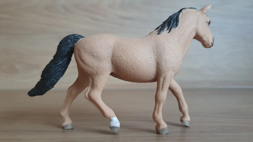 Connemarská pony klisna 13863, model 2017