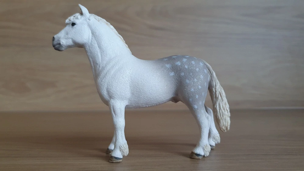 Velšský poník hřebec 13871, model 2017