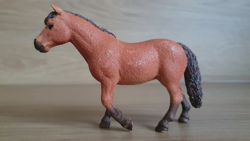 Dartmoorský poník 13873, model 2017