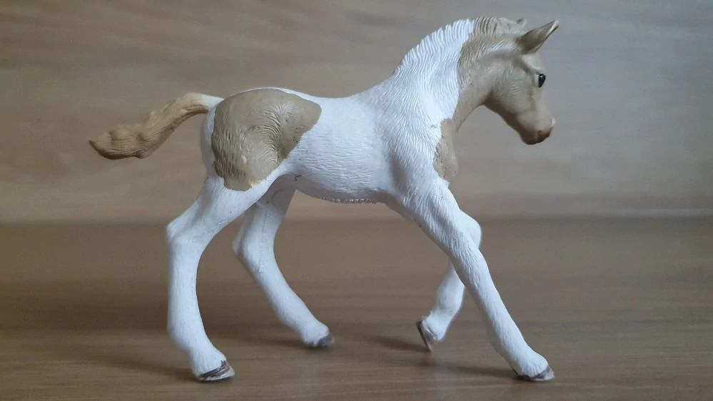 Paint hříbě 13886, model 2018