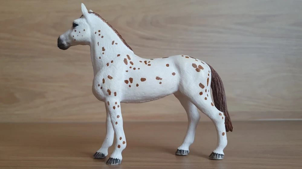 Appaloosa hřebec 42433, model 2017