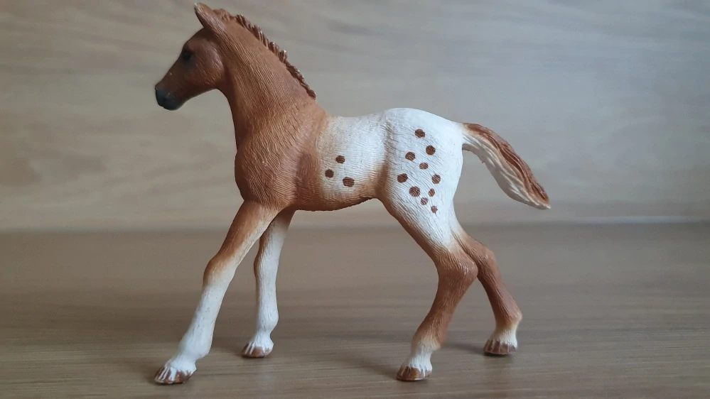 Appaloosa hříbě 42433, model 2017