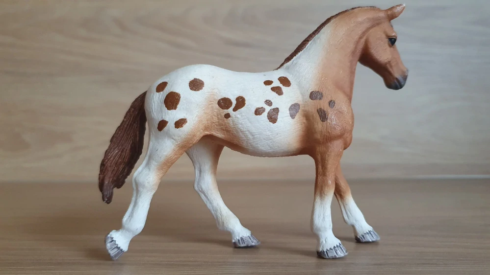 Appaloosa klisna  42433, model 2017