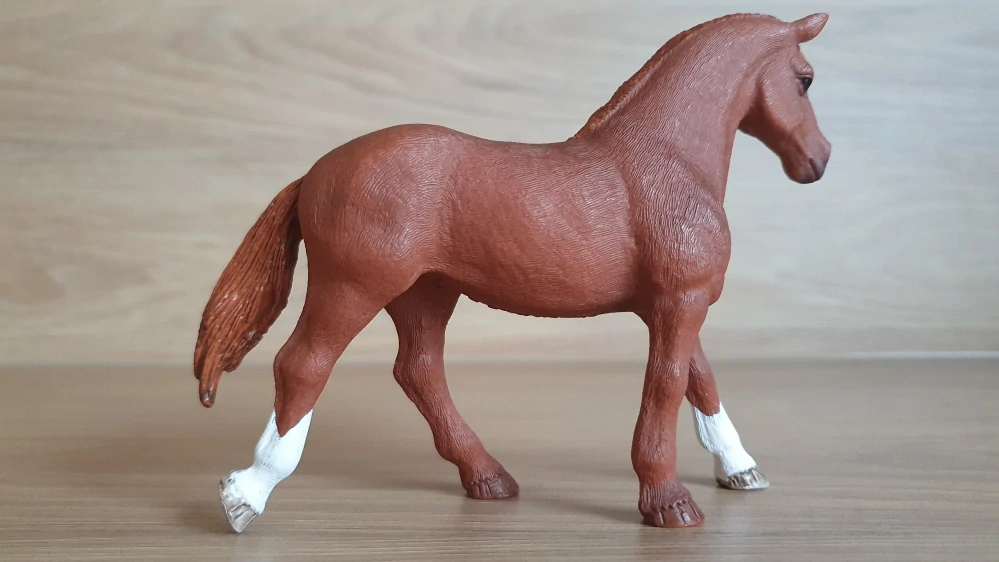 Klisna Appaloosa 42458, model 2017