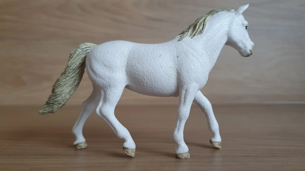 Connemarská pony klisna 42467, model 2017