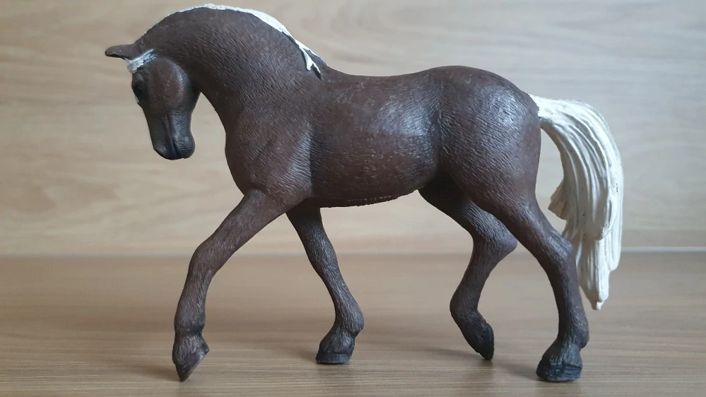 Klisna Rocky 42469, model 2018