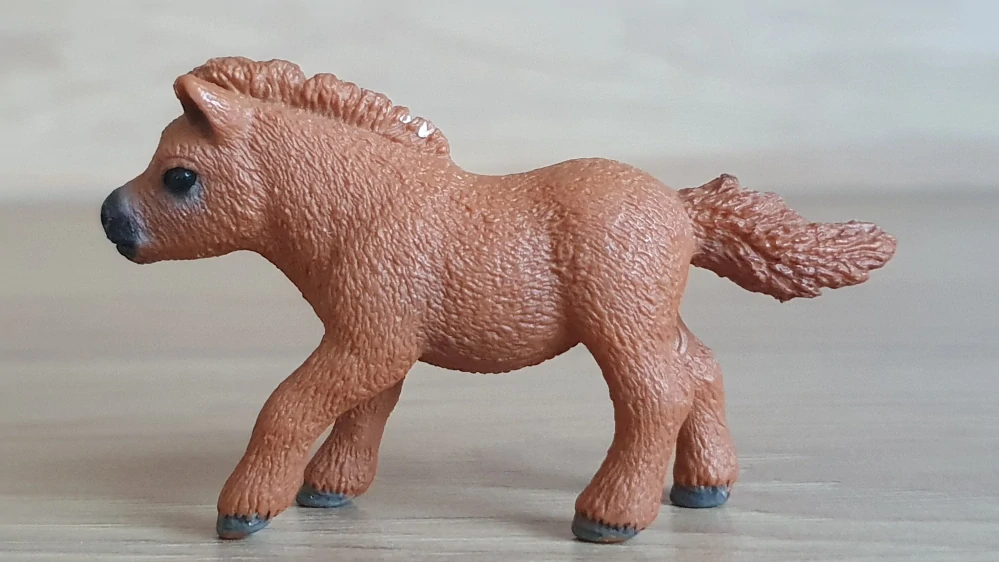 Shetlandský poník 13777, model 2014