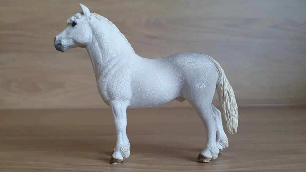 Welšský poník hřebec 13871, model 2017