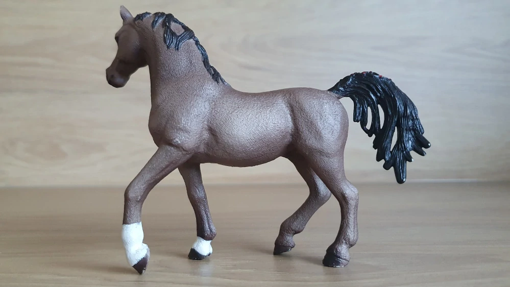 Arabský hřebec 13907, model 2015