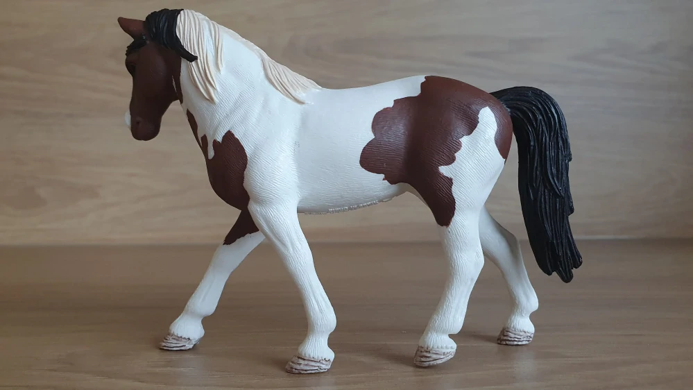 tennessee walker klisna 42441, model 2016