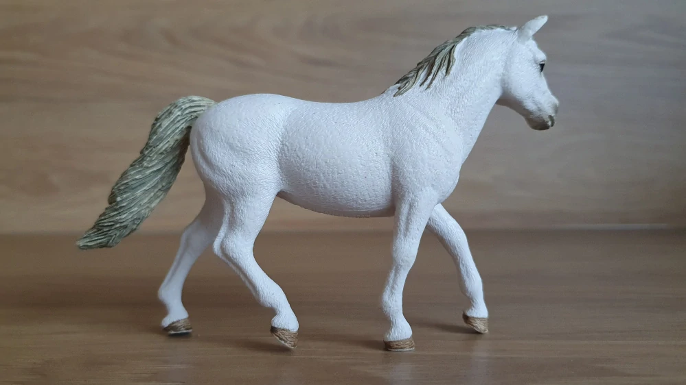 Connemarská pony klisna 42467, model 2017