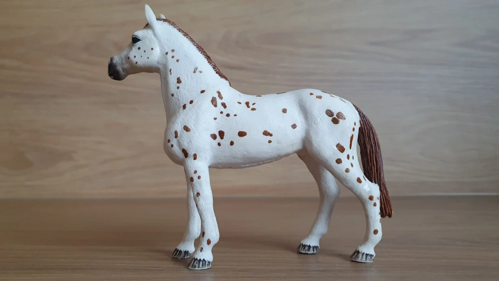 Appaloosa hřebec 42433, model 2017