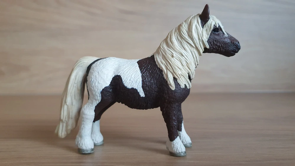 Shetlandský poník valach 13751, model 2009