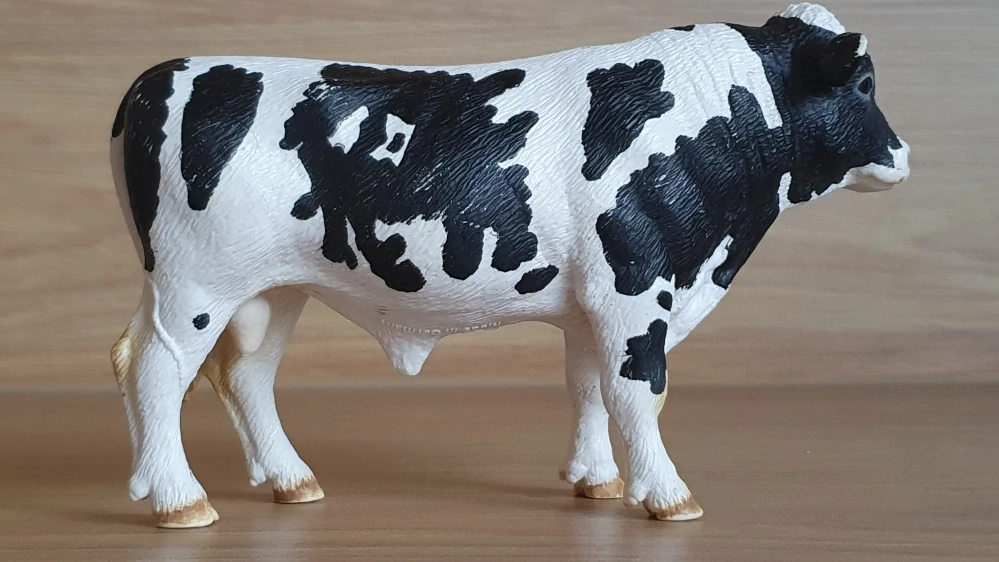 býk holštýnský 13632, model 2007