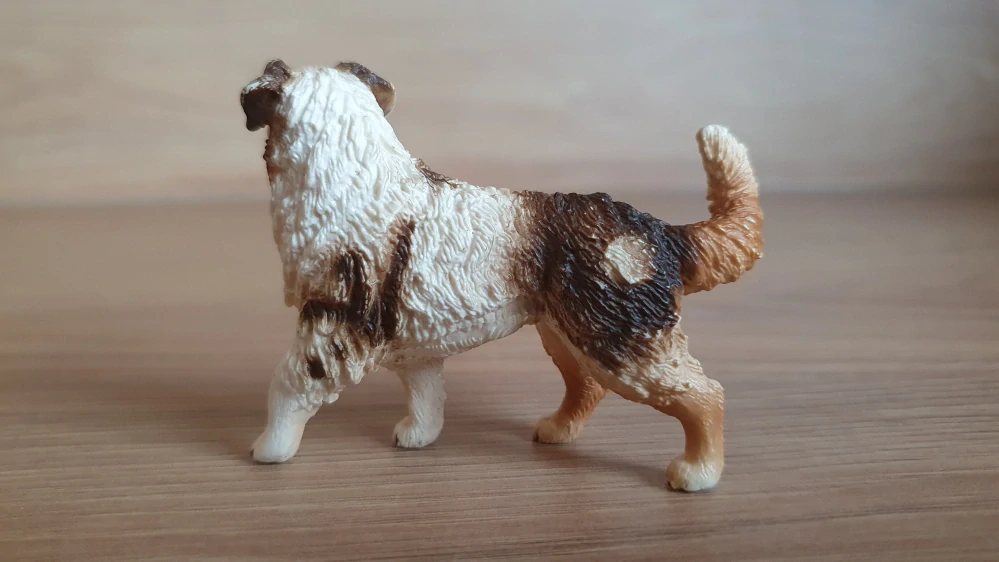 Australský ovčák  16392, model 2012