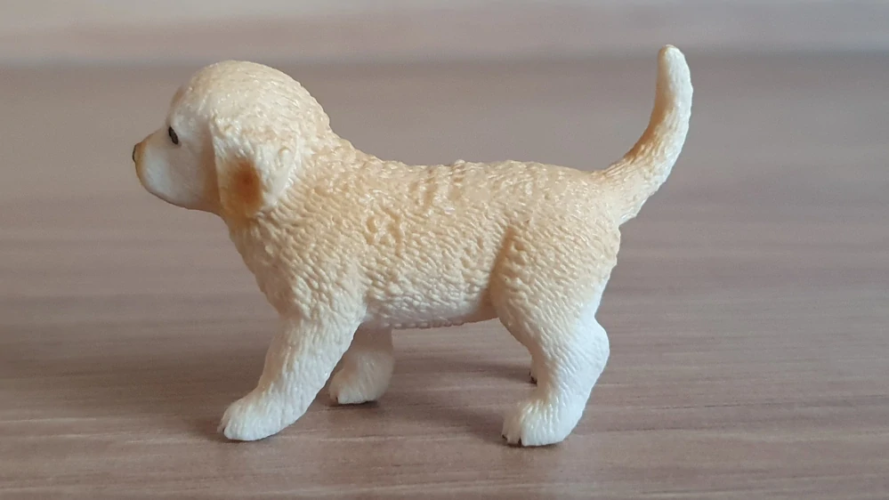 zlatý retrívr štěně 16396, model 2013