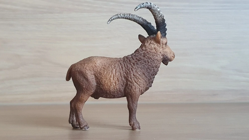 kozorožec  41459, model 2016