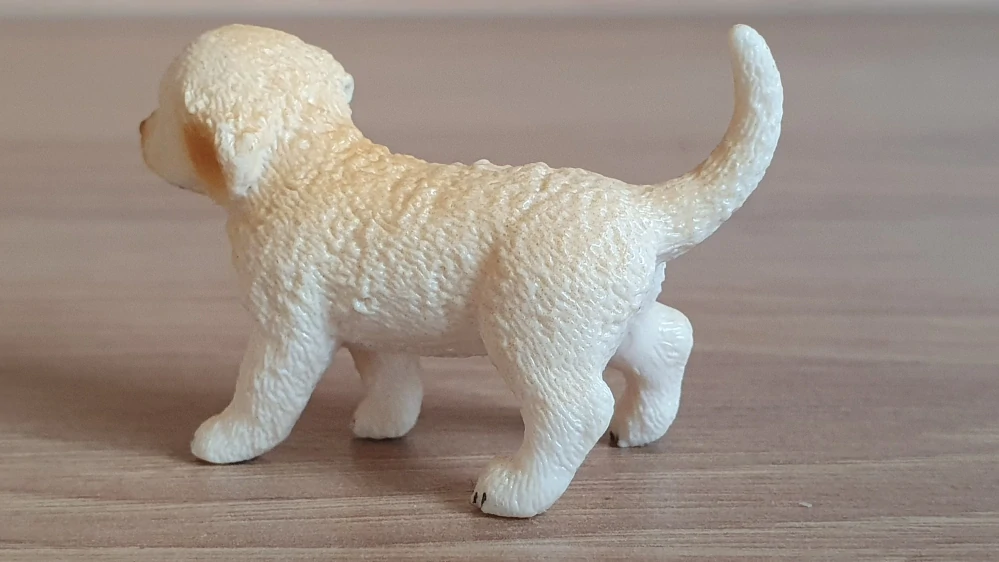 zlatý retrívr štěně 16396, model 2013