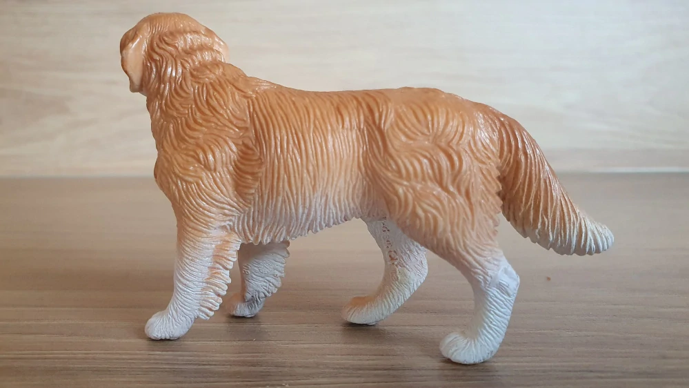 zlatý retrívr 16377, model 2008